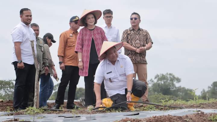Semangat Wujudkan Agri Unggul, Bupati Eddy Berutu Terapkan Mekanisme Fertigasi di KPT Parbuluan