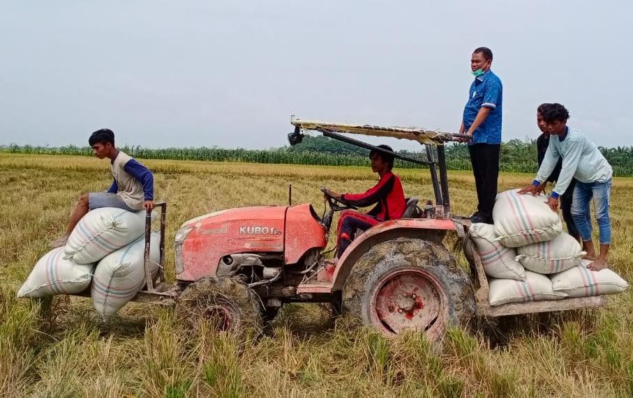 H Darma Wijaya: Masyarakat Jangan Takut  Mencetak Sawah, Asal sesuai Aturan yang Berlaku