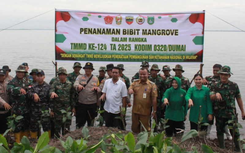 TMMD Ke-124 Kodim 0320 Dumai Menanam Ratusan Bibit Mangrove Dipantai  Purnama