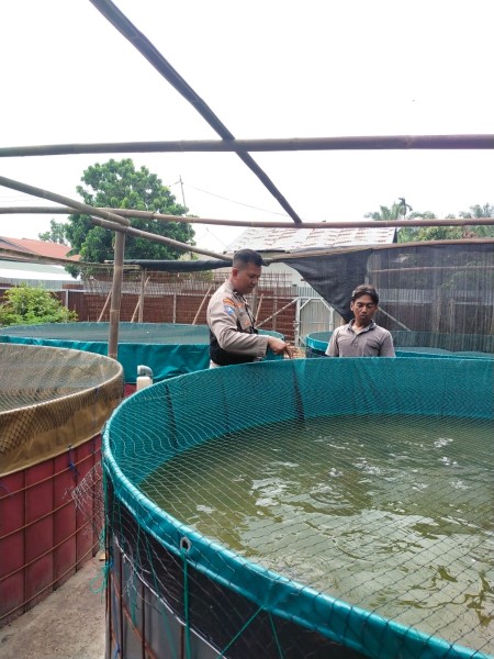 Bhabitkatimas Bersama Petani Melakukan Pengecekan Pekarangan Pangan Bergizi Dalam Rangka Mendukung Program Ketahanan Pangan Nasional