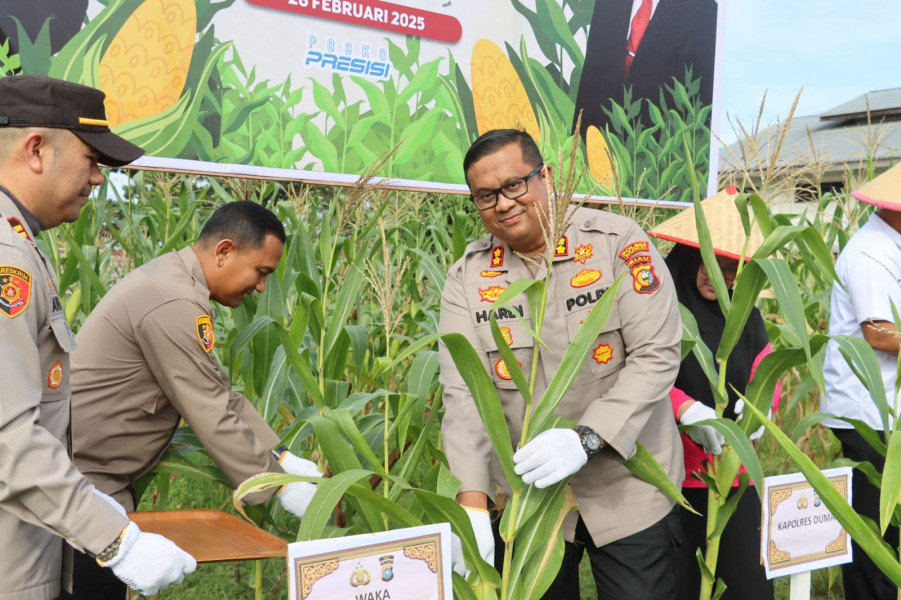 Kapolres Dumai hadiri Acara Panen Raya Jagung Tahap 1 Mendukung Swasembada Pangan Tahun 2025