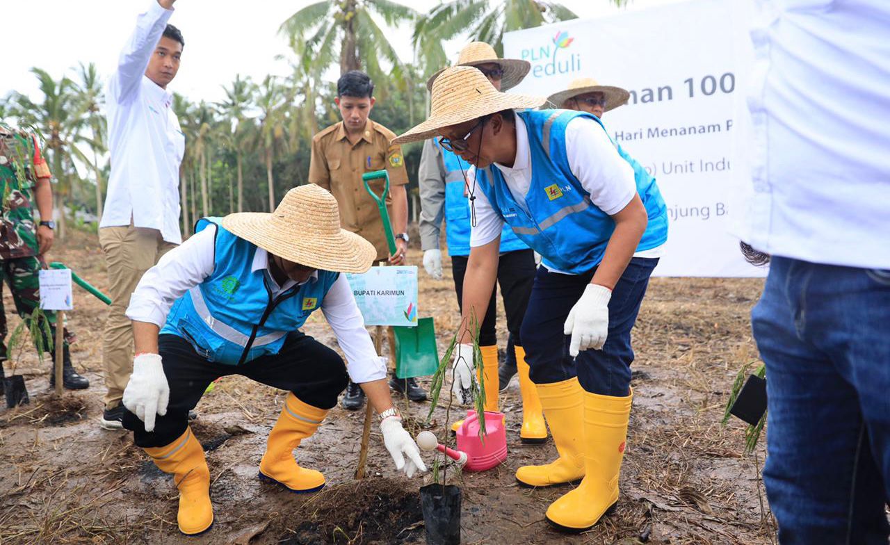 Dukung Energi Bersih, PLN Tanam 100.000 Bibit Pohon Kaliandra