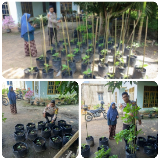Bhabinkamtibmas Teluk Makmur Sambangi Petani Cabe Rawit, Dukung Ketahanan Pangan Nasional