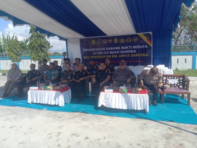 Perkuat Fungsi  Pengawasan Bea Cukai Musnah  Mangga Ilegal Hasil Penindakan