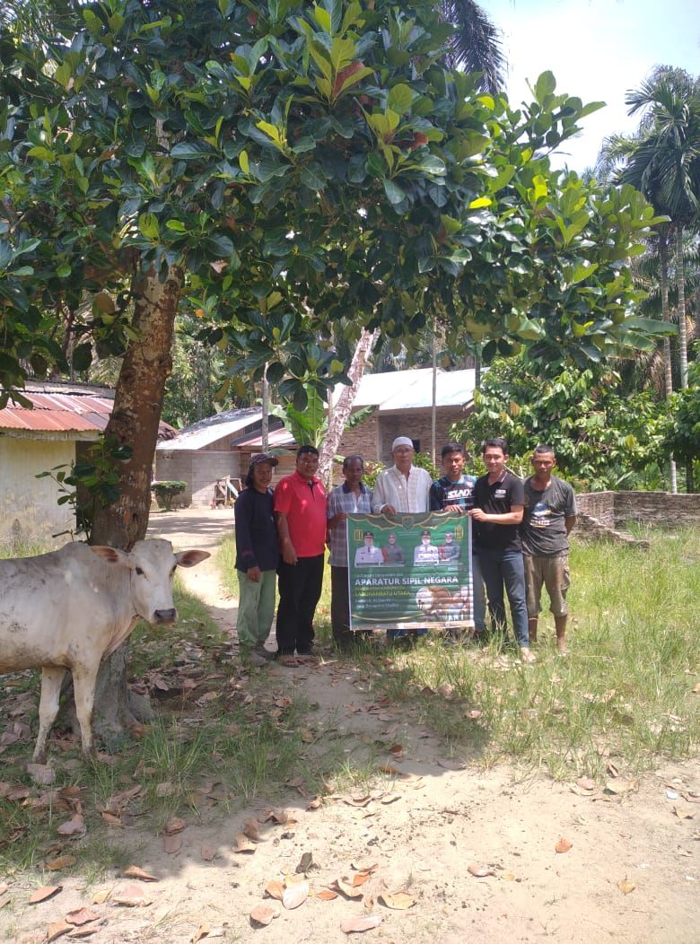 Pemkab Labura siapkan 73 ekor sapi untuk dibagikan di 8 Kecamatan
