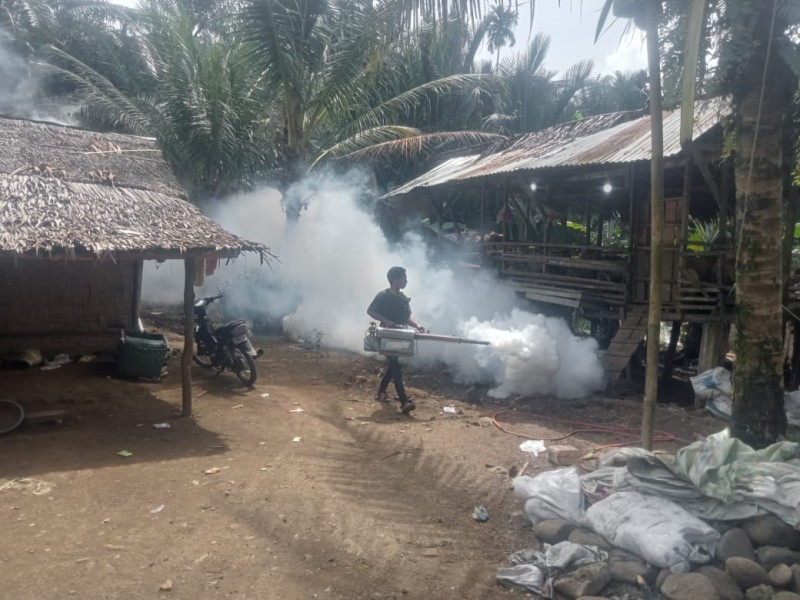 Basmi Wabah Demam Berdarah, Desa Kutalimbaru Lakukan Kegiatan Fogging Basmi Nyamuk