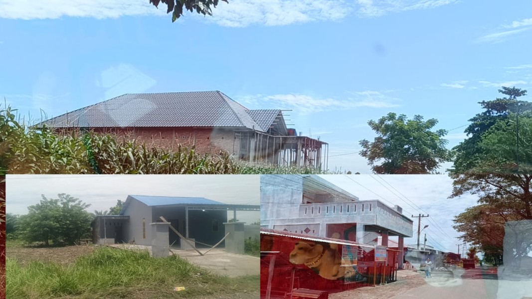 Bangunan Liar Menjamur Di Lahan Eks HGU PTPN II Tunggurono, Sat Pol PP dan Bidang Pengawasan Bangunan Tarukim Binjai Diduga Terima Upeti