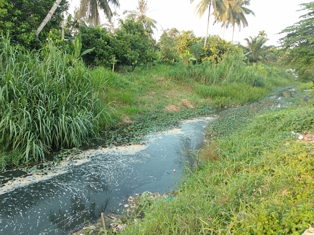 Aroma Busuk Resahkan Warga, Sungai Mata Pao Dicemari Limbah Pabrik Ubi