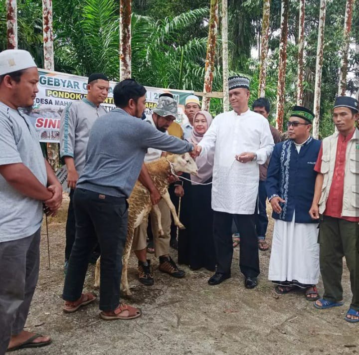 Wakil Bupati Pakpak Bharat Serahkan 120 Ekor Hewan Qurban Dari Lembaga Amil Zakat Nasional