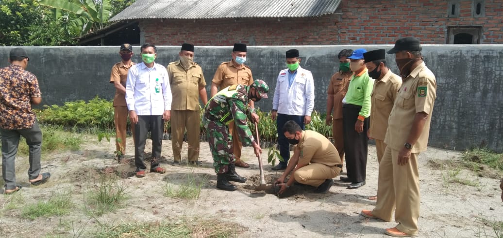 BAZNAS dan Stakeholder Kabupaten Langkat Tanam Ribuan Bibit Pohon