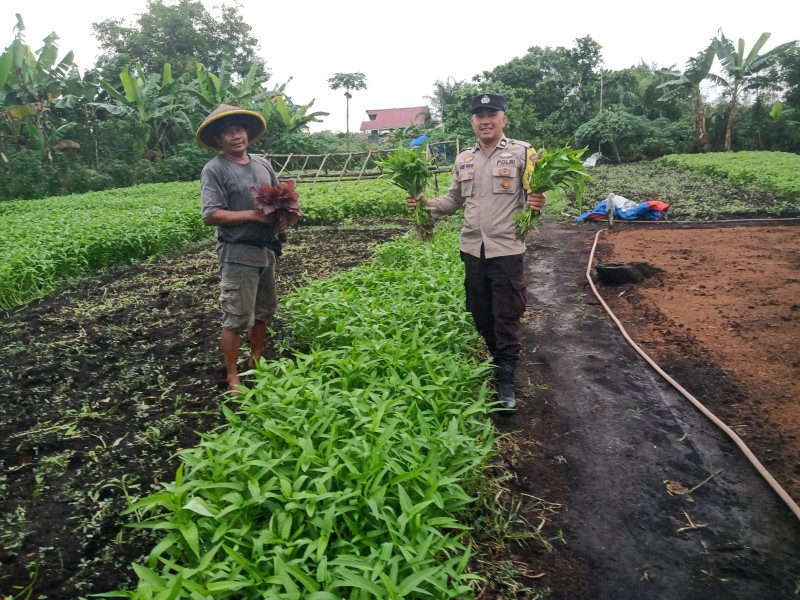 Bhabinkamtibmas Kelurahan Bagan Keladi Cek Pekarangan Beragam Sayuran, Dukung Ketahanan Pangan Nasional