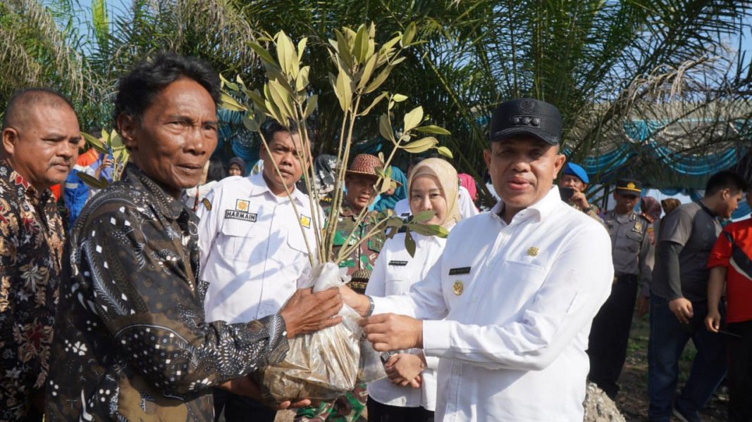 Peringati Hari Lingkungan Hidup, Pj Bupati Langkat Faisal Hasrimy Tanam 11.000 Pohon Mangrove