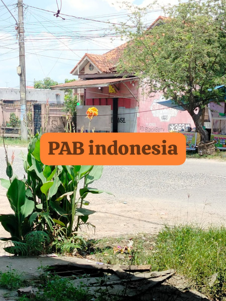 Bikin Resah, Info buat TNI/Polri Tangkap dan Grebek Judi Ikan-Ikan Hoki