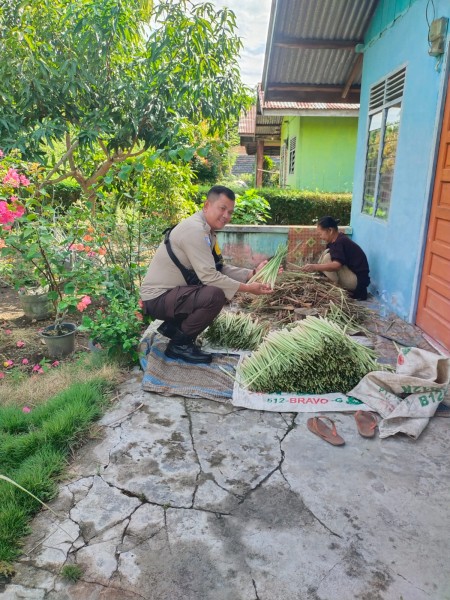 Bhabinkamtibmas bersama Petani Lakukan Pengecekan Perkarangan Pangan Bergizi Dukung Ketahanan Pangan Nasional