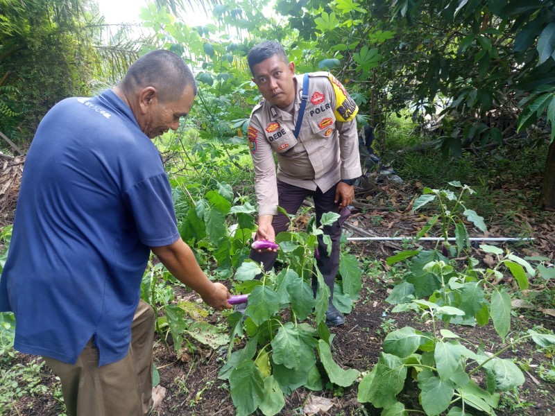 Bhabinkamtibmas Pantau Pengembangan Tanaman Terong Bersama Kelompok Tani Warsito