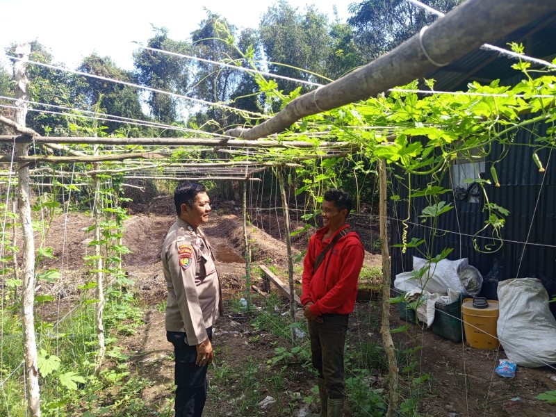 Bhabinkamtibmas Kelurahan Teluk Makmur Sambangi Petani Pare, Dorong Produktivitas Sayuran Lokal