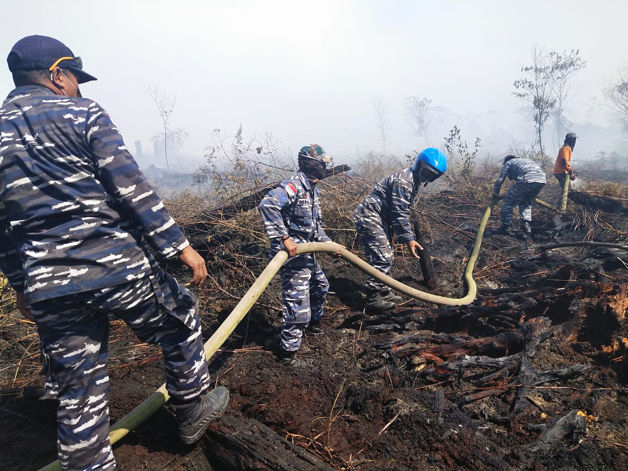 TNI AL Posal Meulaboh Bersenergi Dengan Instansi Atasi Kebakaran Hutan Di Meureubo Aceh Barat