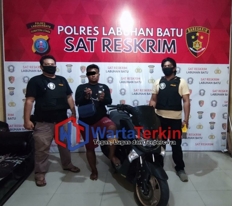 Team Tekab unit Resum Polres Labuhanbatu Tangkap Tersangka Sepesialis  Penyambret
