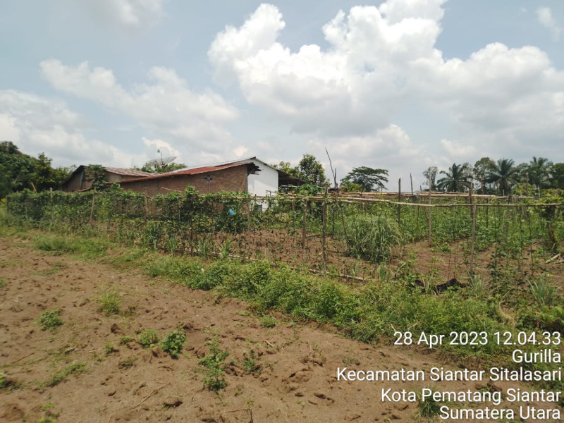 PTPN III Komitmen Menjaga Kondusifitas Areal HGU Di Siantar