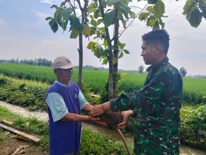 Kakek Sutarno sebagai 