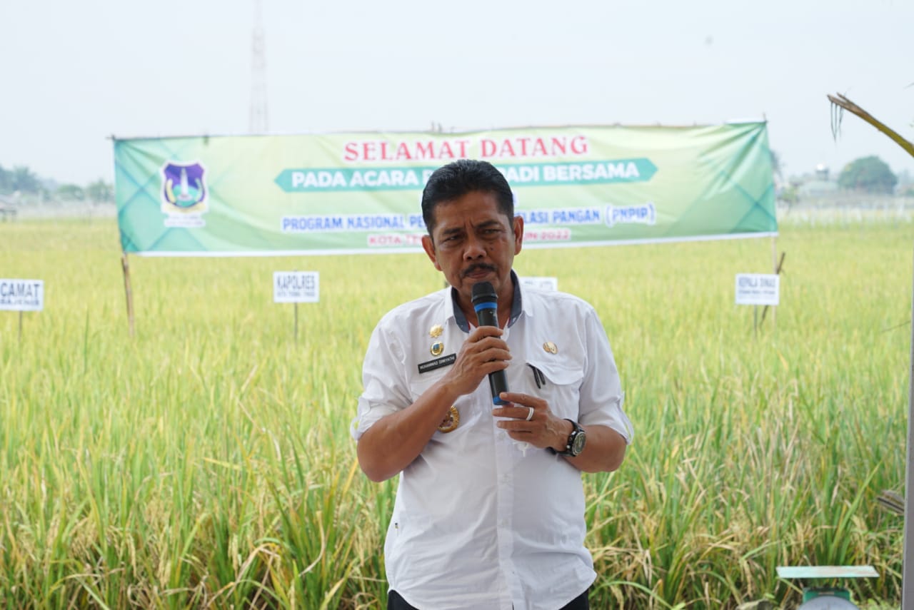 Pj.Walikota Tebing Tinggi panen bersama dapat jaga kestabilan harga.