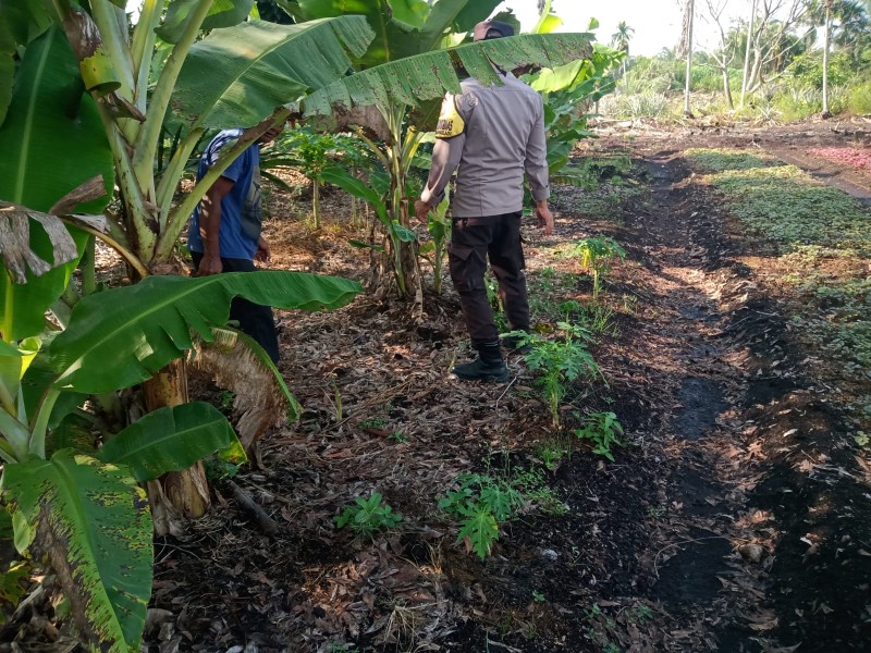 Bhabitkatimas Bersama Petani Melakukan Pengecekan Pekarangan Pangan  Bergizi Dalamb Rangka Mendukung Program Ketahanan Pangan Nasional