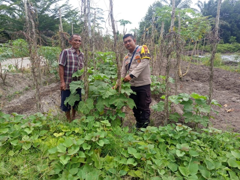 Bhabinkamtibmas Sambangi Petani Kacang Brendi di Teluk Makmur Dukung Ketahanan Pangan