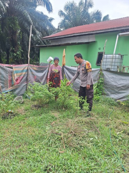 Bhabinkamtibmas Kelurahan Guntung Sambangi Petani Cabai, Dorong Produktivitas Demi Ketahanan Pangan