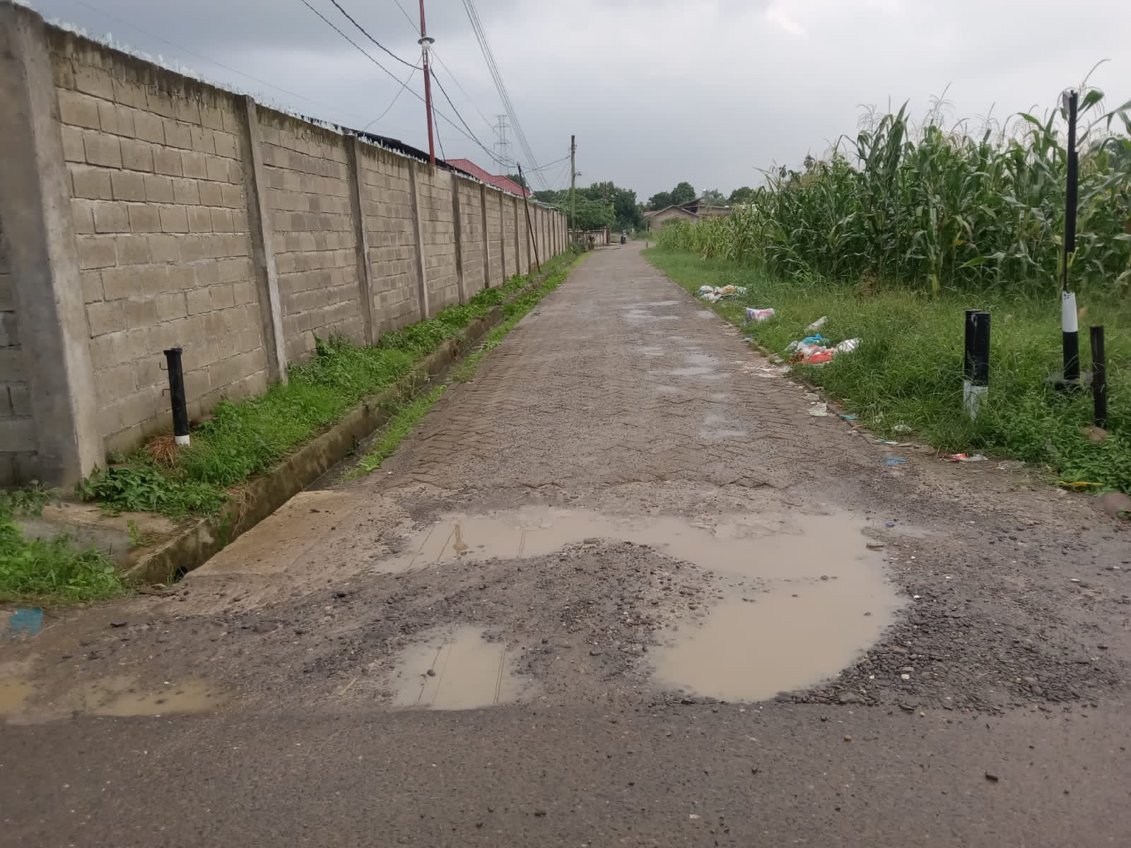 LSM Penjara Sumut : Pemdes Dihimbau Transparan Dalam Dalam Kelola Dana Desa 