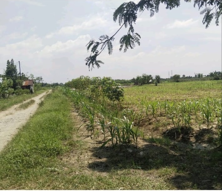 30 Tahun 23 Miliar Kredit Macet PT Spectra Graha, Gubsu dan Kejati Sumut Diminta Usut, Bank Sumut : Lagi Proses