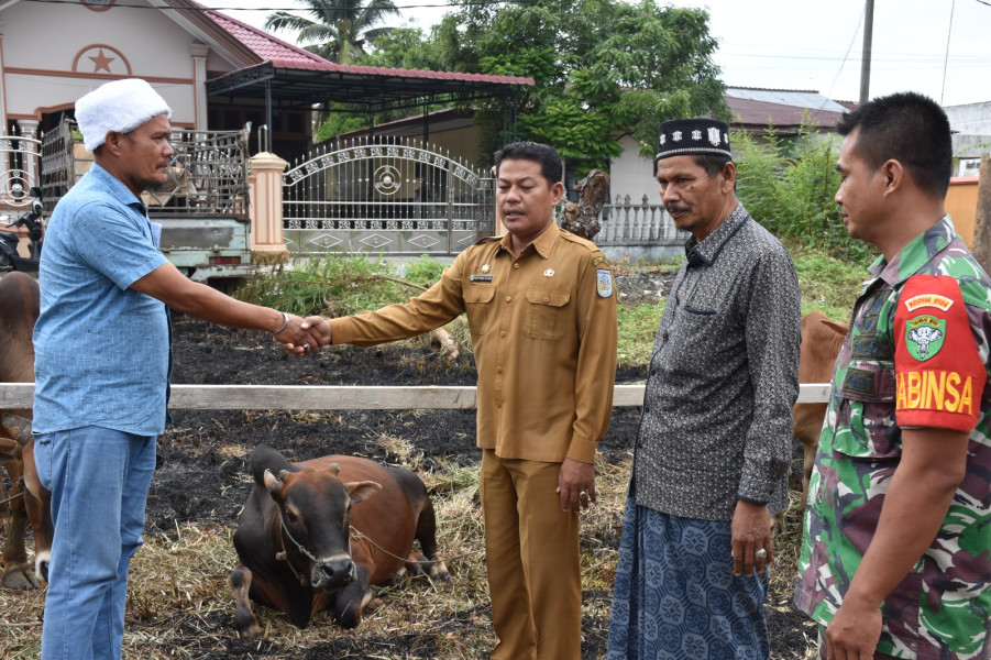 Pemko Langsa Serahkan  Hewan Qurban