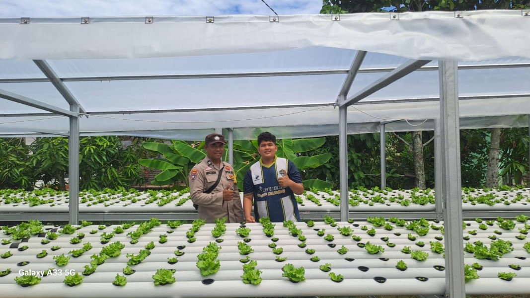 Bhabinkamtibmas cek pekarangan pacoy Kelurahan Pangkalan Sesai dukung ketahanan pangan