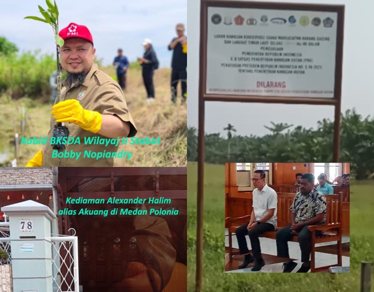 BKSDA Mandul, Vonis 10 Tahun Tak Penjarakan Akuang dan masih Panen TBS Kebun Sawit yang Disita