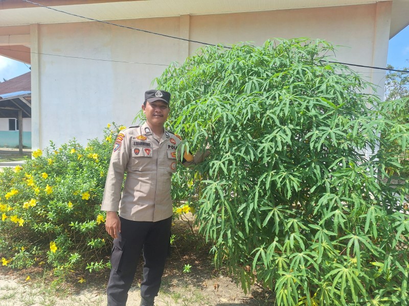 Bhabinkamtibmas Guntung Sambangi Petani Cabai Milik Ibu Rita Dukung Ketahanan Pangan