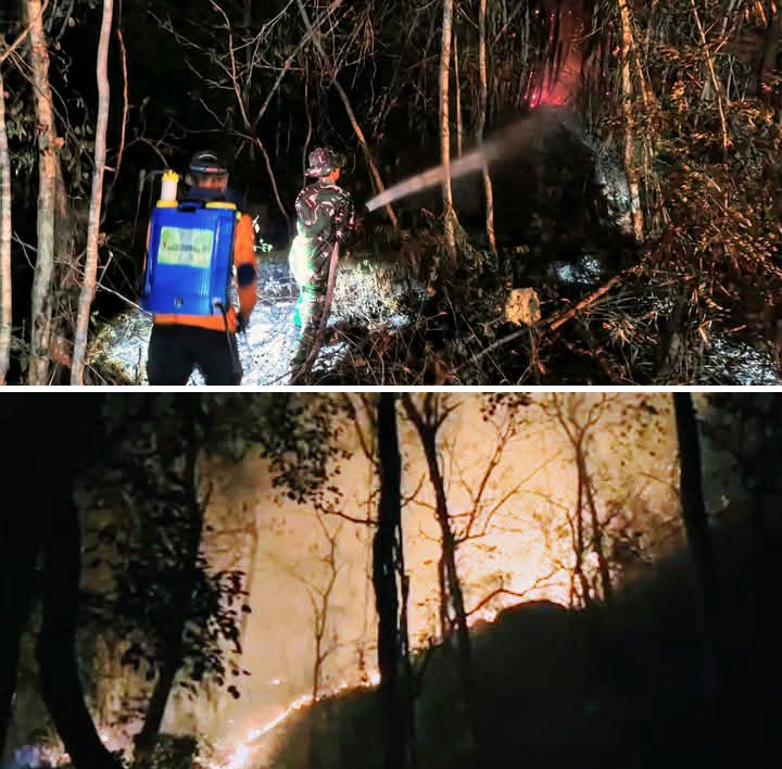 Kobaran Api Hanguskan Lahan di Gunung Gandul, Regu Pemadam Kodim 0728/Wonogiri Bergerak Cepat