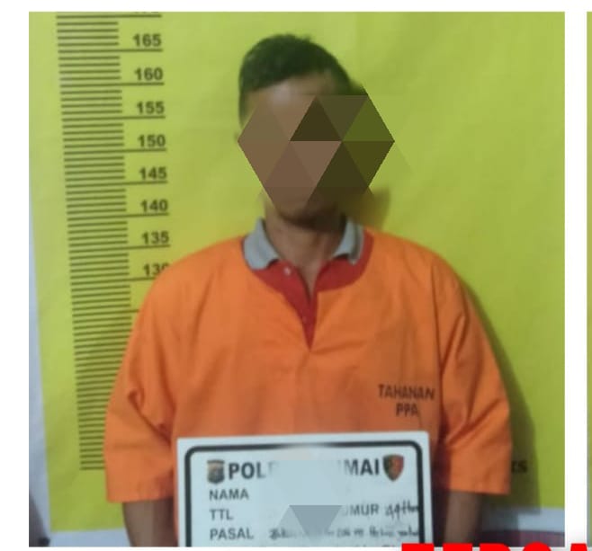 Satreskrim Polres Dumai Amankan DN Tsk Pelaku Asusila Terhadap Anak di Bawah Umur