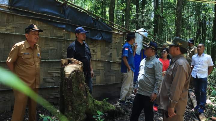Tim Terpadu Kabupaten Dairi Lakukan Penertiban Terhadap Pelaku Pengerusakan Hutan Lae Pondom