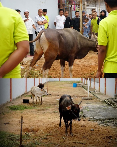 Kebersamaan di Balik Jeruji, Rutan Dumai Laksanakan Penyembelihan Hewan Kurban