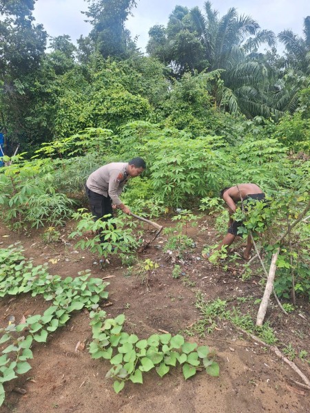 Bhabinkamtibmas Kelurahan Guntung Sambangi Petani Ubi, Dukung Program Ketahanan Pangan