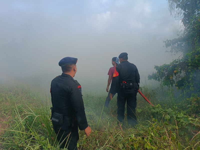 Brimob Kompi 2 Batalyon B Pelopor Bantu BPBD Padamkan Kebakaran Lahan Kosong