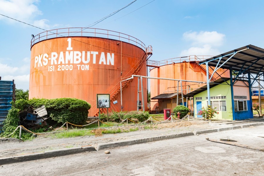 PTPN IV PalmCo Akselerasi Sertifikasi Keberlanjutan, Premium Price Tumbuh Pesat
