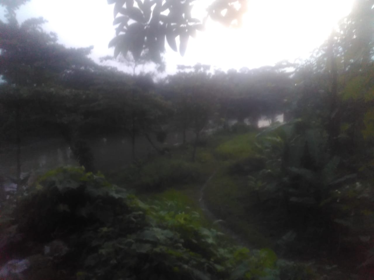 Pantai Bokek Sungai Belawan Sunggal  Diduga Tercemar karena Usaha Industri Disekitarnya