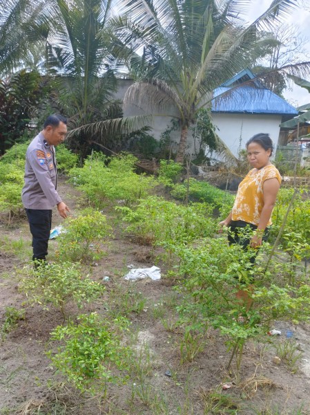 Bhabinkamtibmas bersama Petani Melakukan Pengecekan Perkarangan Pangan Bergizi dalam Rangka mendukung Program Ketahanan Pangan Nasional