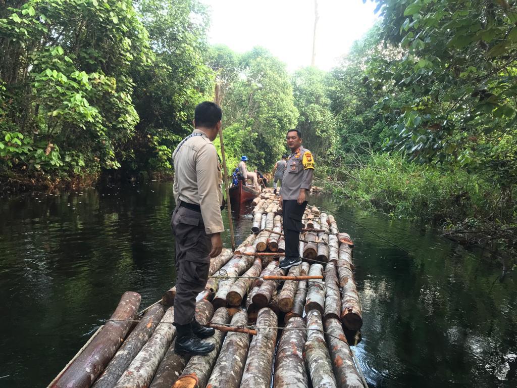 Gerak Cepat Polres Siak Selidiki Dugaan Tindak Pidana Ilegal Logging di Kampung Rawa Mekar Jaya