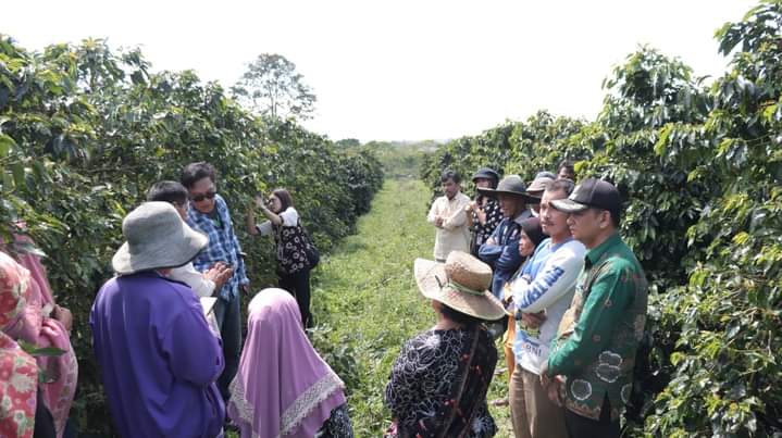 Sharing Ilmu Bertani dari Pelatihan Kopi