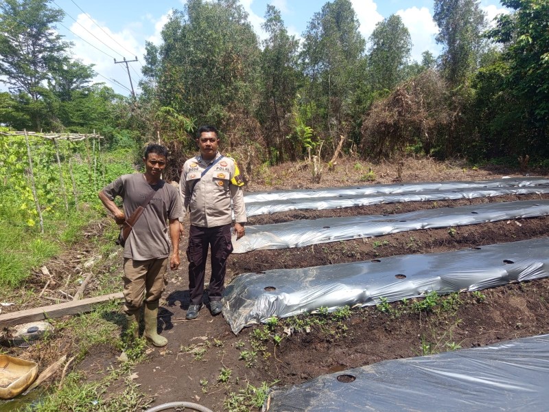Binmas Dumai Dampingi Kelompok Tani Nanang Dukung Ketahanan Pangan Lewat Budidaya Pare